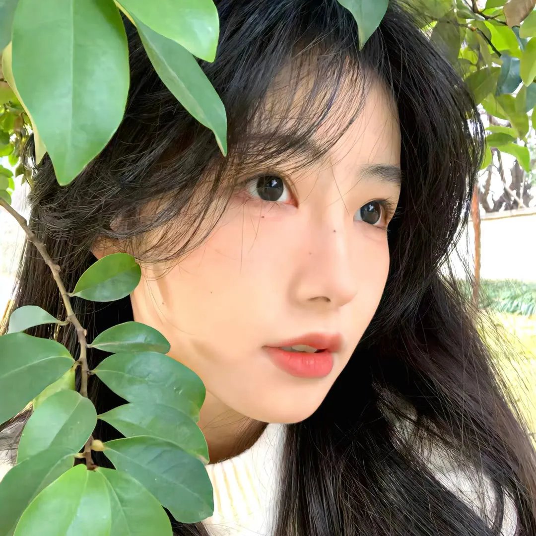 E.O. Wilson: 给年轻科学家的忠告